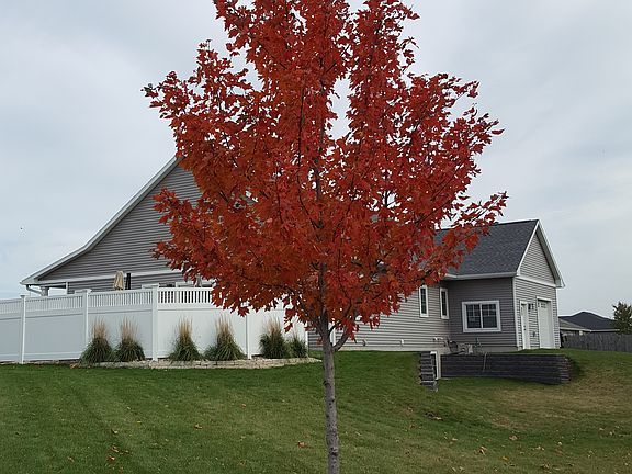 Large yard w landscaping.