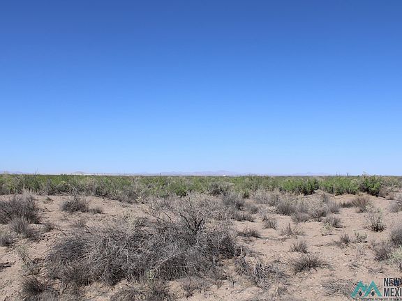 5th image of Paradise Rd