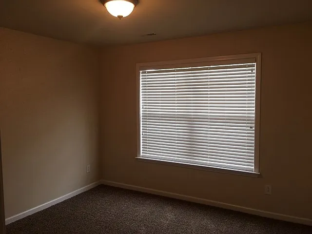 4010 Farmville Ct — Photo 11