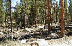 1st image of Trail Ridge Dr