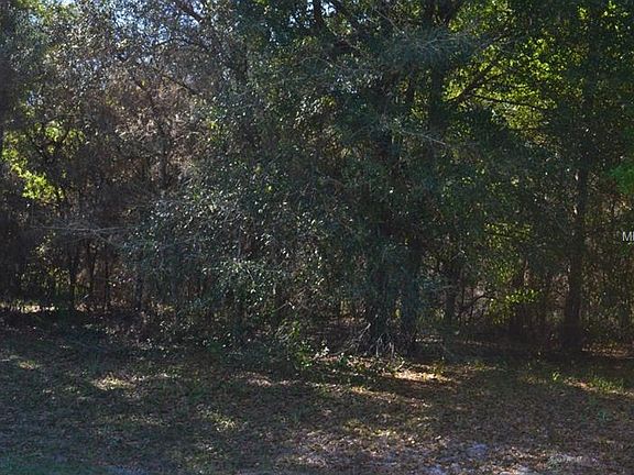 2nd image of 1790 Timber Edge Dr