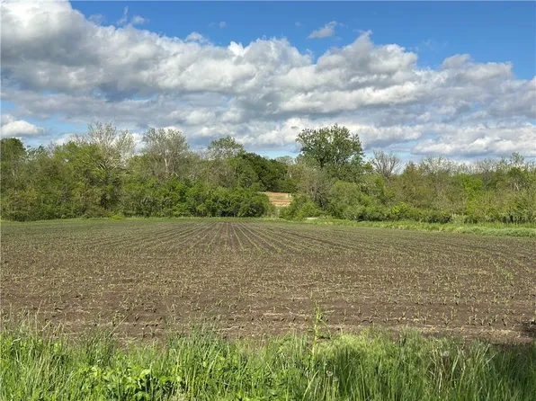 TRACT 1 Albany Rd, Orrick, MO 64077