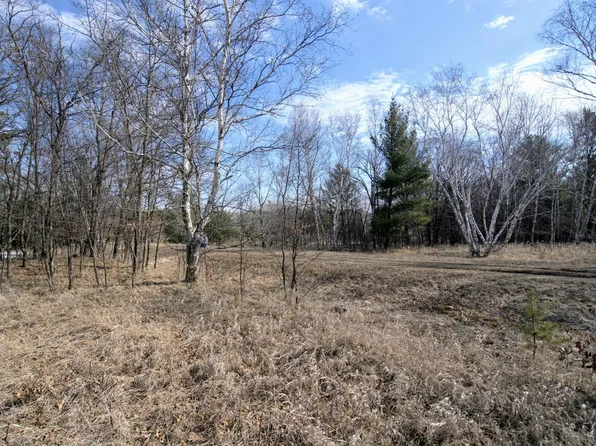 Pacer Dr, Browerville, MN 56438