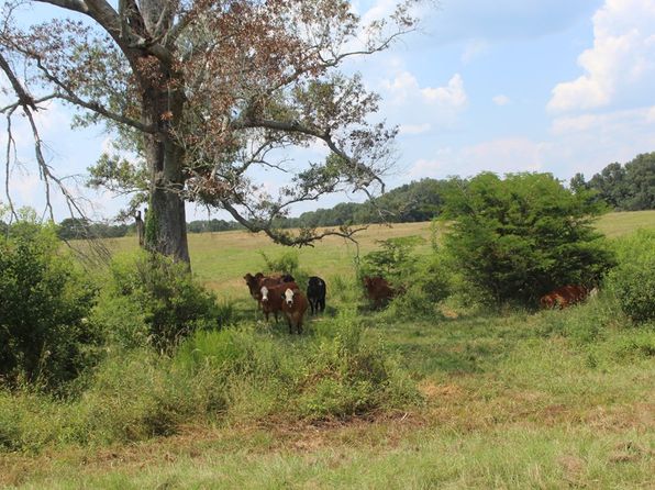 1072 Barlow Rd, Pattison, MS 39144