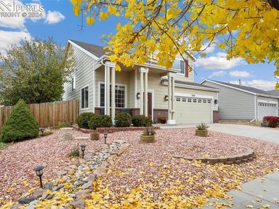 7036 Cattle Dr, Colorado Springs, CO, 80922