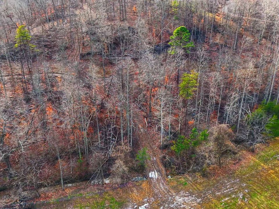 2nd image of 1164 Deloss Creek Rd