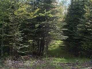 Driveway from Timberline Dr