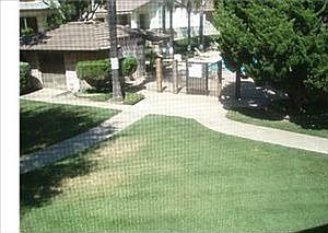 4th image of 1303 Greenvale Dr
