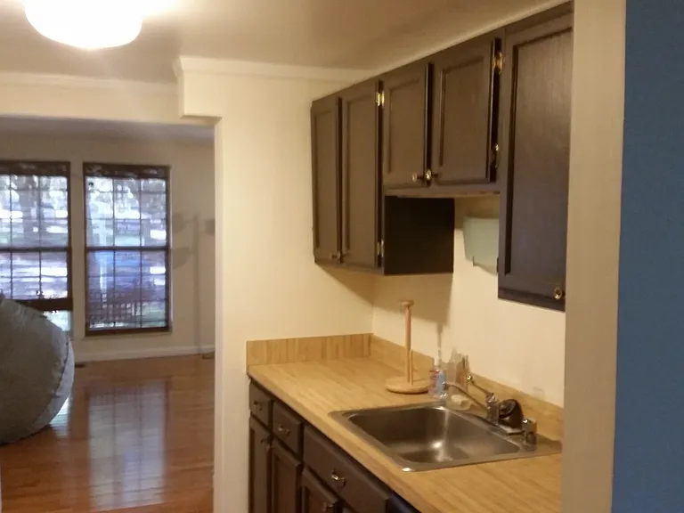 7340 Better Hours Ct — Photo 6
