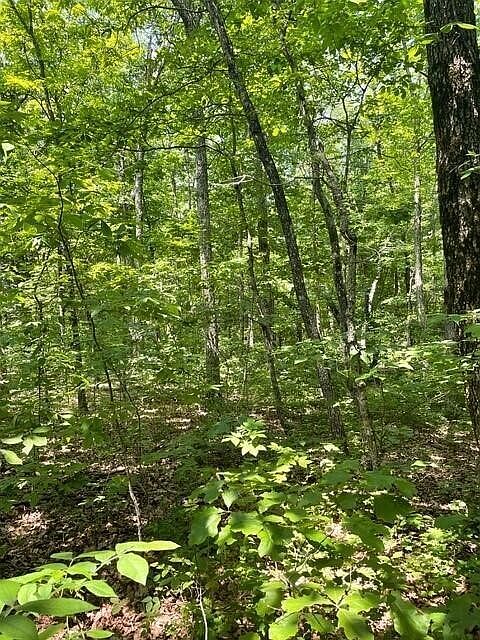 1st image of 5 N Campbell Rd Lot 5
