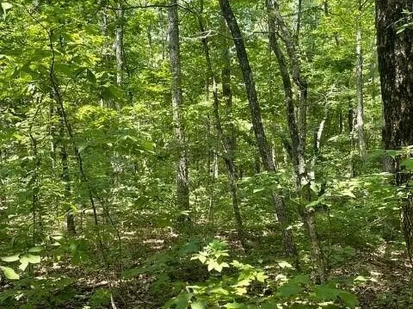 5 N Campbell Rd Lot 5, Altamont, TN 37301