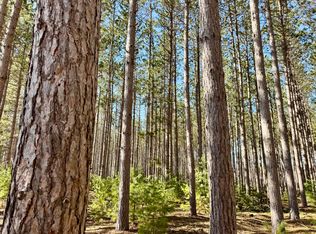 13560 Sturgis Rd, Atlanta, MI 49709