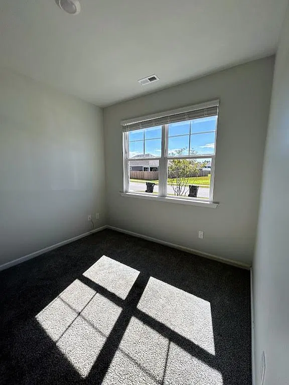 4218 Coralbead Ln — Photo 3