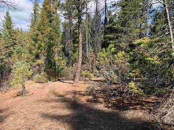 5th image of 19100 Valley View Dr
