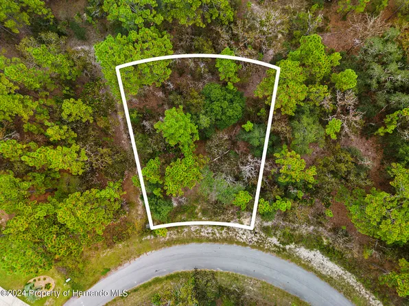 17 Snapdragons Ct, Homosassa, FL 34446