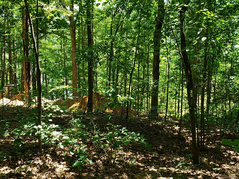 220 Country Junction Rd — Photo 2