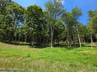 4 Cave Creek Rd, Falls Of Rough, KY 40119