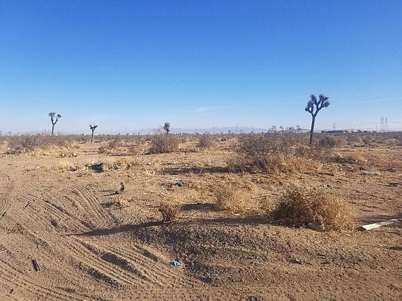 3rd image of Yucca Rd