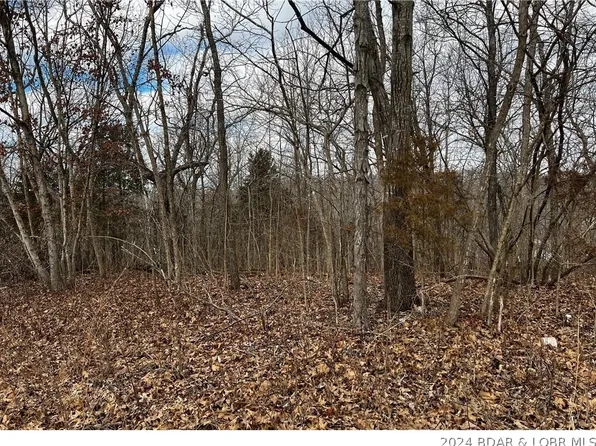 Tbd Jerry Lees Way Rd, Stover, MO 65078