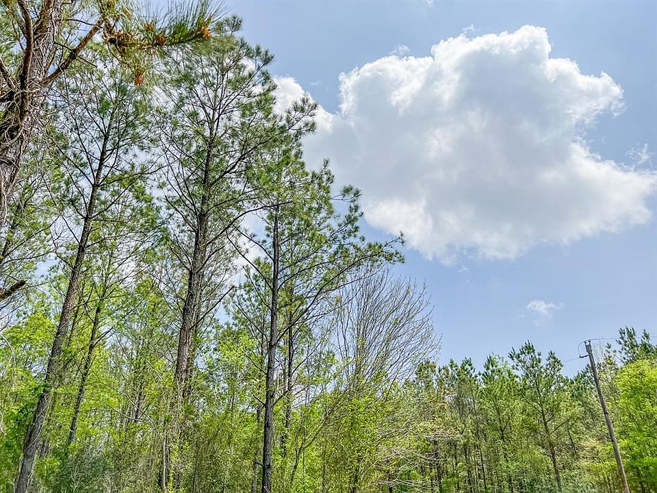 0 Morrell Rd, Chester, TX 75936 MLS 14480656 Zillow