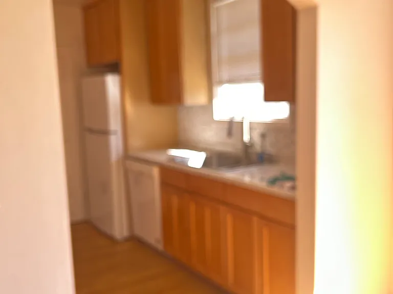 1101 Irwin St — Photo 7