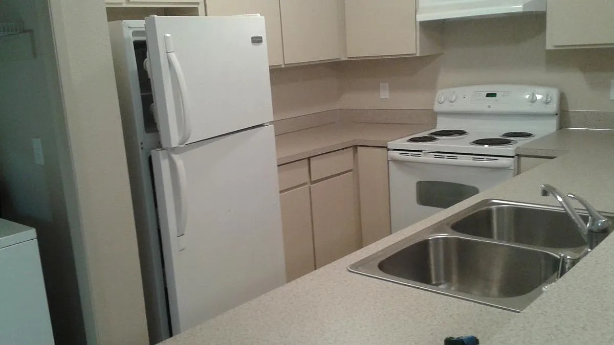 2 bed, 950 sqft, $1,850 — Photo 2