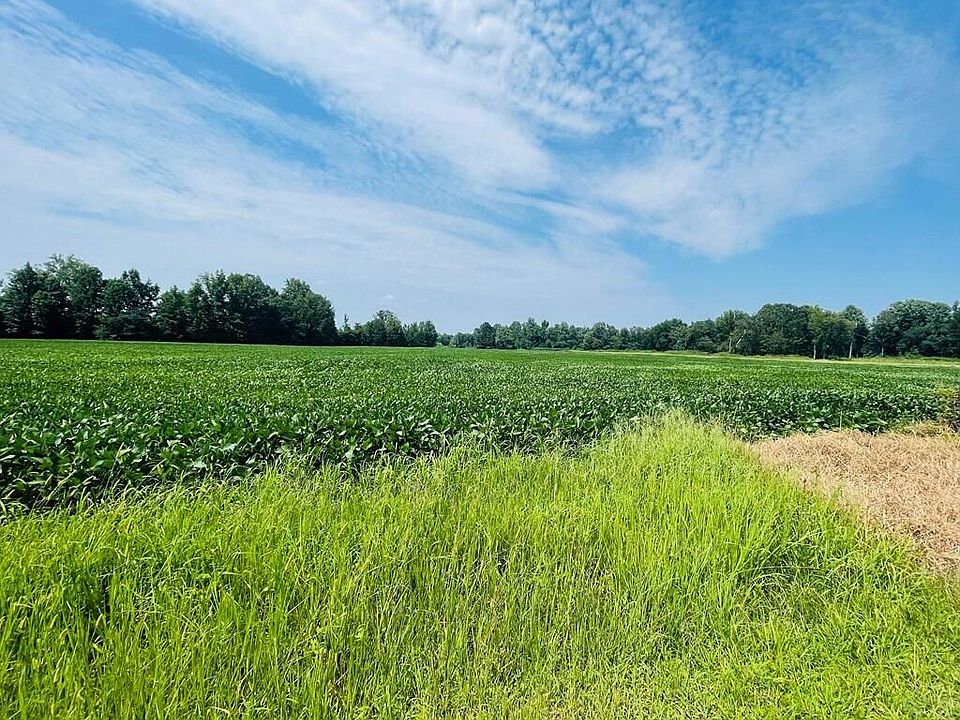 2nd image of County Road 428