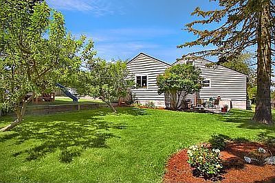 Large, expansive yard