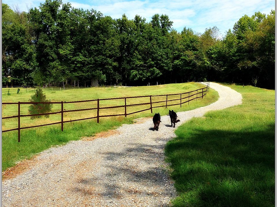 driveway from house to creek