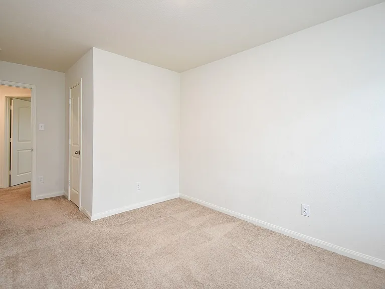405 Texas Olive Dr — Photo 28
