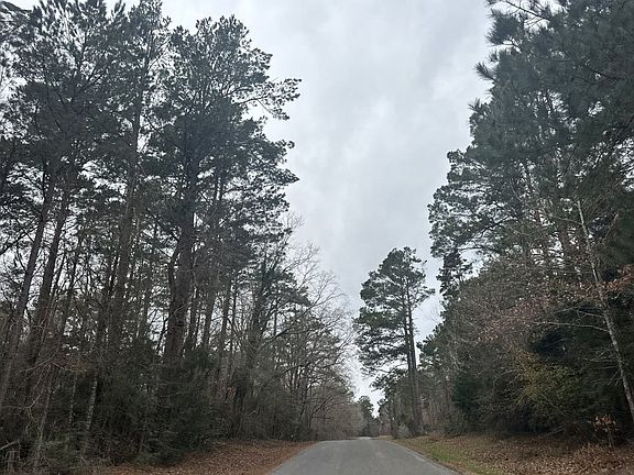 4th image of 217 Haney Smith Rd