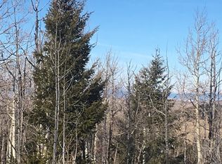 965 Kinkehee Trl, Hartsel, CO 80449