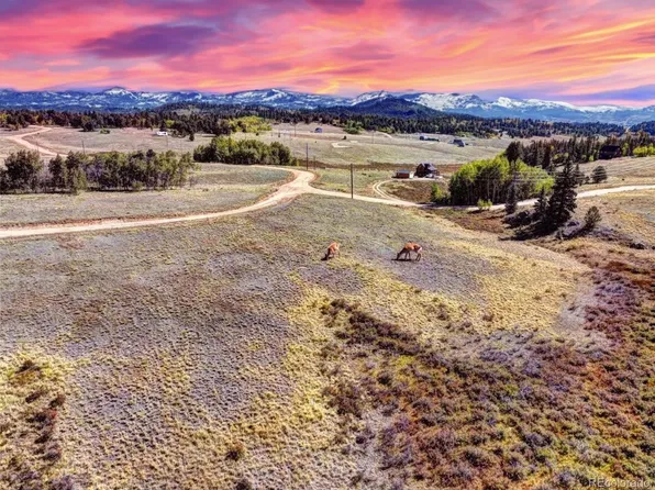 1739 Wampum Ln, Como, CO 80456