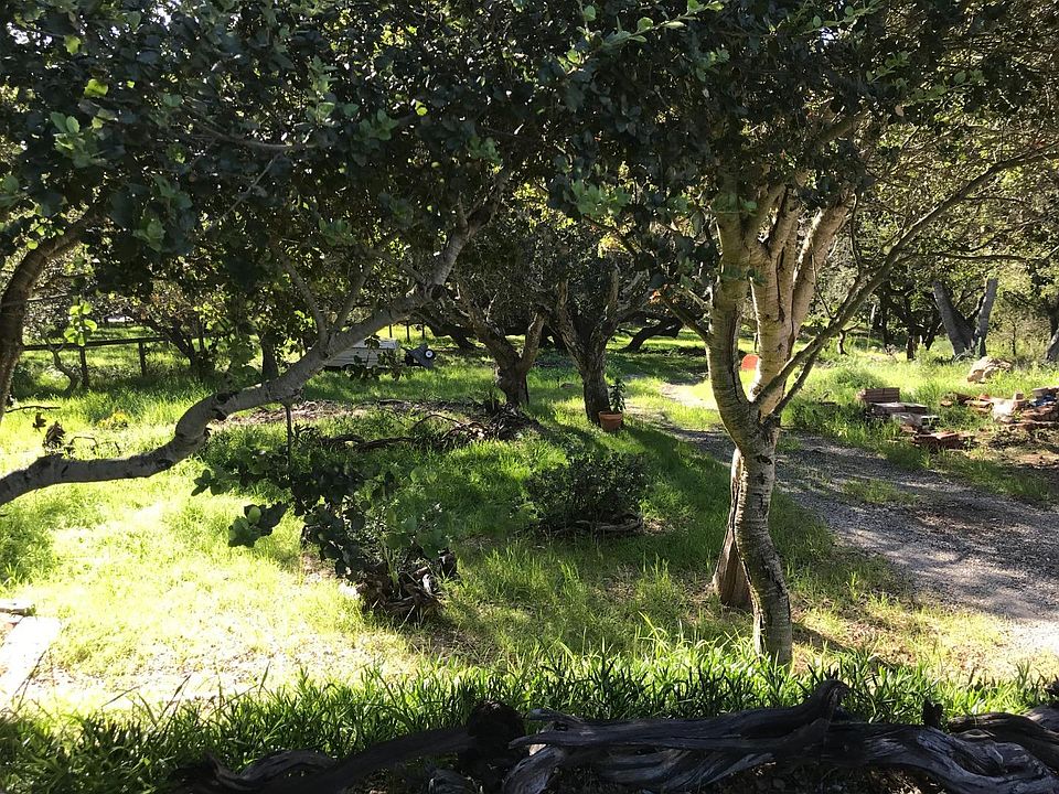 1st image of 6967 Valle Pacifico Rd