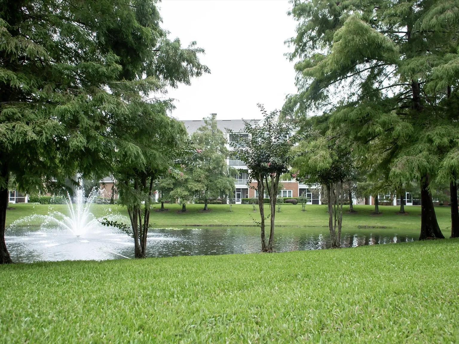 3 bed, 1394 sqft, $1,950 — Photo 2