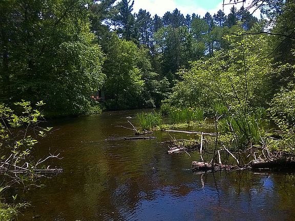 Summer View From Pier