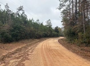 Unnamed Rd, Livingston, TX 77351