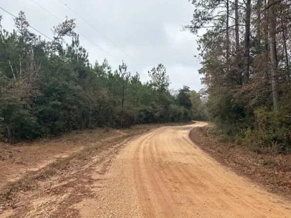 Unnamed Rd, Livingston, TX 77351