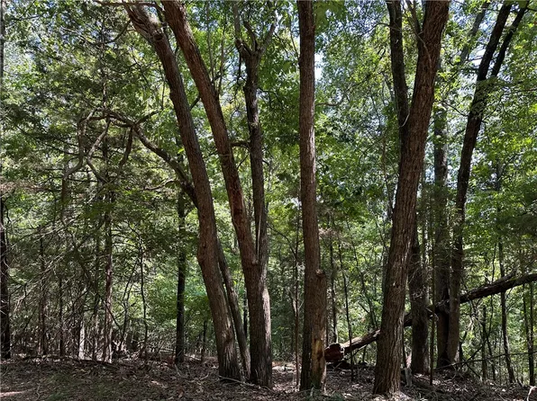 Oak Leaf Cir #108-109, Garfield, AR 72732