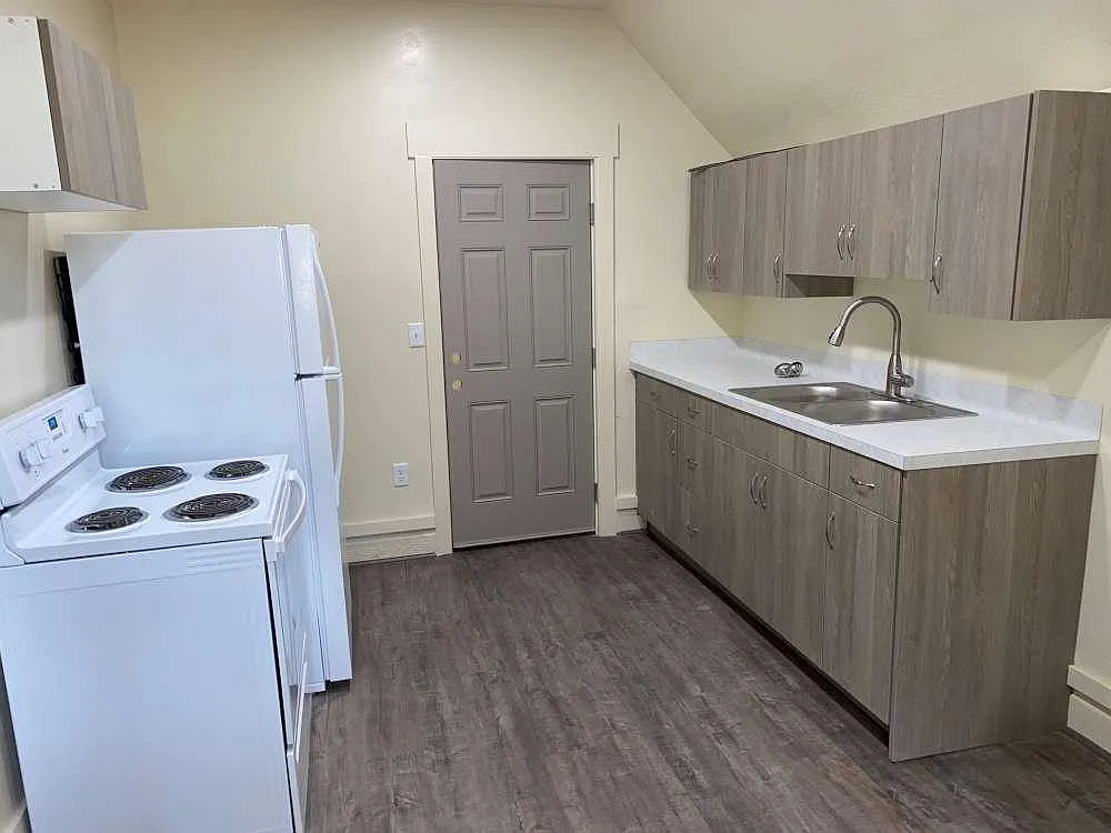 1 bed, 450 sqft, $950 — Photo 2