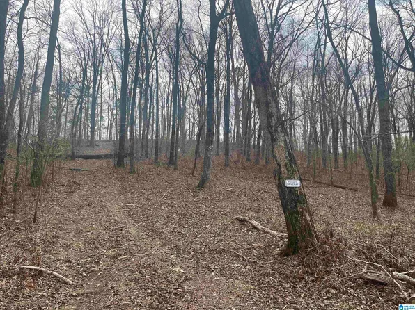 6446 Trussville Clay Rd #6446, Trussville, AL 35173