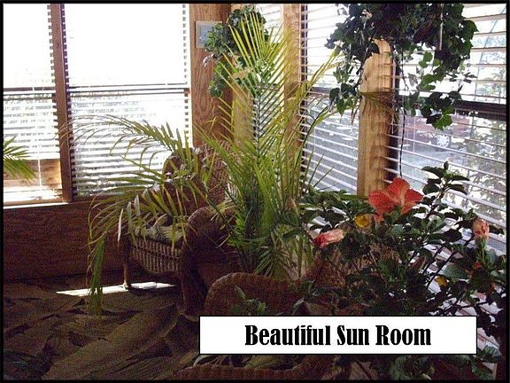 Sun Room