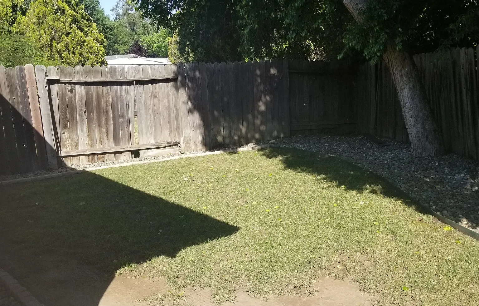 2 bed, 924 sqft, $2,200 — Photo 3