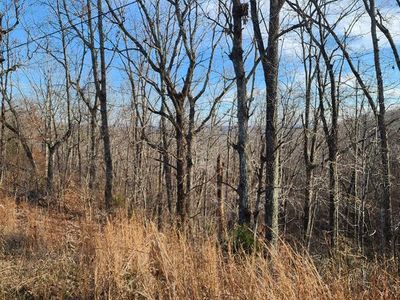 0 Marina Cv, Holladay, TN, 38341