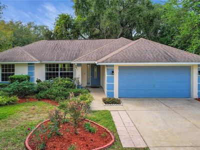 36629 Francis Dr, Grand Island, FL, 32735