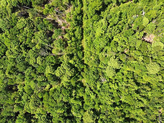 3rd image of 0 Jacks Rd