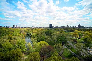 Sold by Ruth Goldman Real Estate