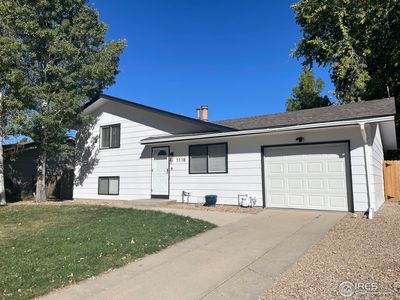 1118 Walnut St, Windsor, CO, 80550