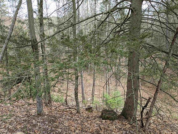 3rd image of South Scofield Mountain Road