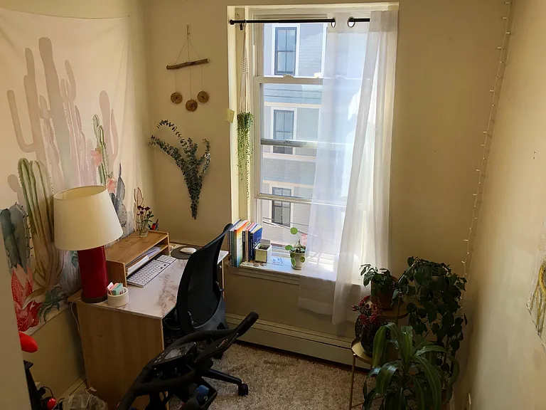 56 Norfolk St — Photo 7